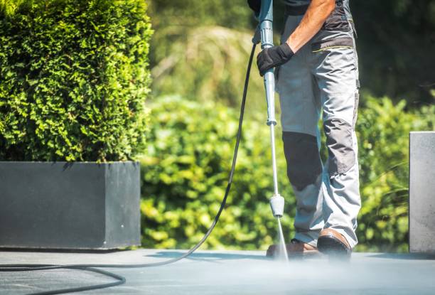 Trusted Rocky Mount, VA Pressure Washing Services Experts