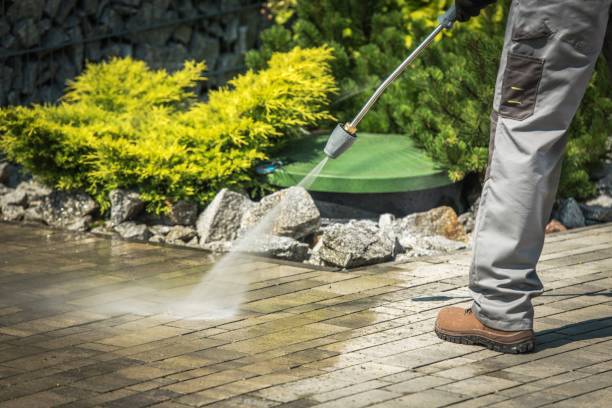 Best Gutter Cleaning  in Rocky Mount, VA